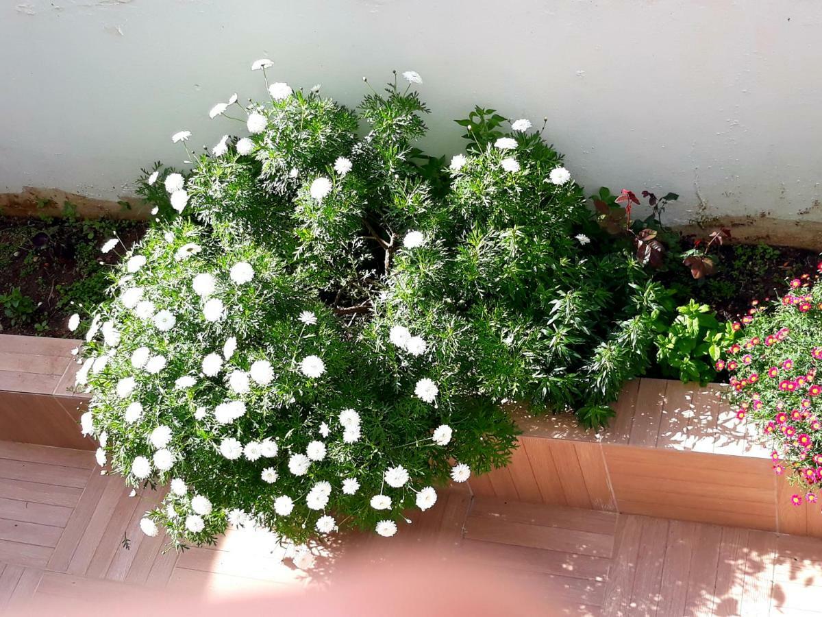 Sitia Holidays 1 Εξωτερικό φωτογραφία